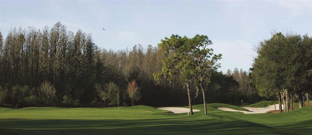 Innisbrook - Copperhead